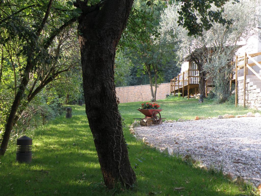 Ca' Spina: Sweet Home In Valpolicella SantʼAmbrogio di Valpolicella Habitación foto
